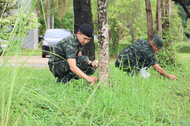 เตรียมร่วมจัดกิจกรรม “รด.จิตอาสา เราทำความดีด้วยหัวใจ” เฉลิมพระเกียรติในหลวง รัชกาลที่ 10