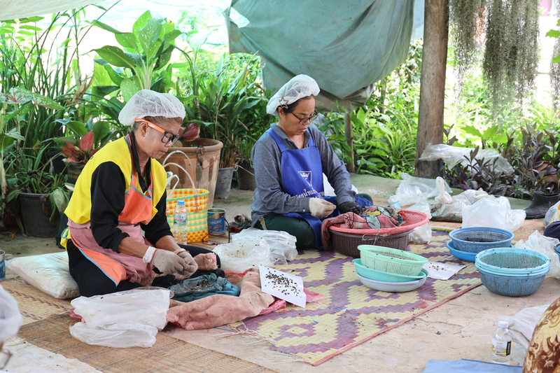 ม.นครพนม แปรรูปลูกอ๊อด หนุนวิสาหกิจชุมชน “กบนานครพนม” ยกระดับสินค้าท้องถิ่นสู่ตลาดอาเซียน