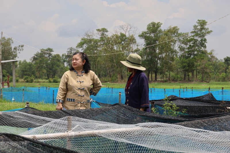 ม.นครพนม แปรรูปลูกอ๊อด หนุนวิสาหกิจชุมชน “กบนานครพนม” ยกระดับสินค้าท้องถิ่นสู่ตลาดอาเซียน