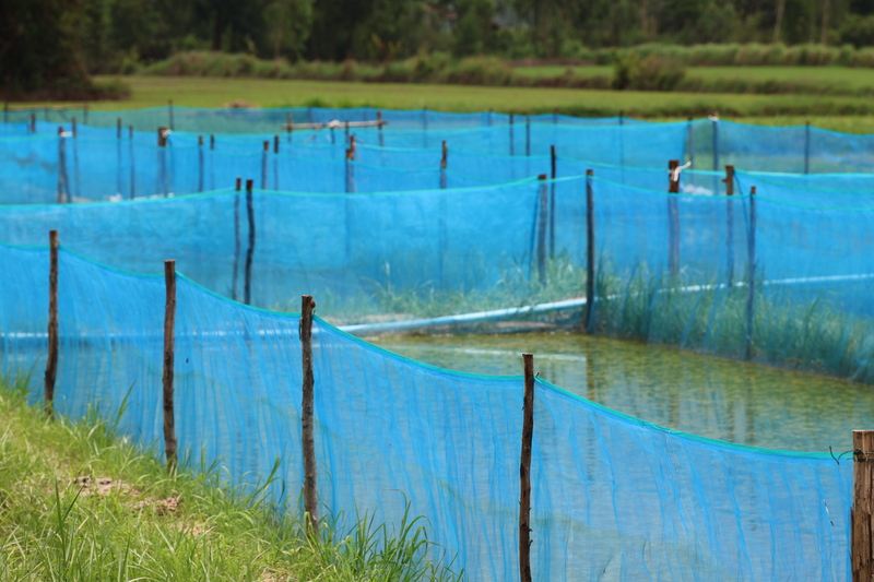 ม.นครพนม แปรรูปลูกอ๊อด หนุนวิสาหกิจชุมชน “กบนานครพนม” ยกระดับสินค้าท้องถิ่นสู่ตลาดอาเซียน