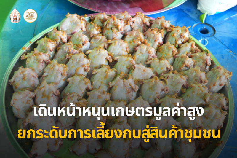 วิทยาลัยธาตุพนม เดินหน้าหนุนเกษตรมูลค่าสูง จัดโครงการพัฒนาการผลิตประมงตามแนวทาง BCG Model ยกระดับการเลี้ยงกบสู่สินค้าชุมชน